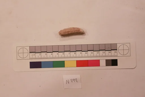 Stucco Fragment