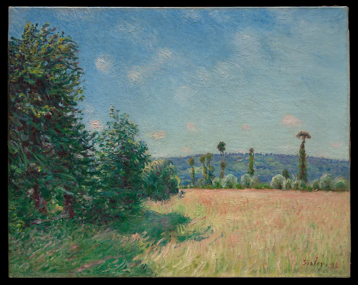 Sahurs Meadows in Morning Sun — Alfred Sisley