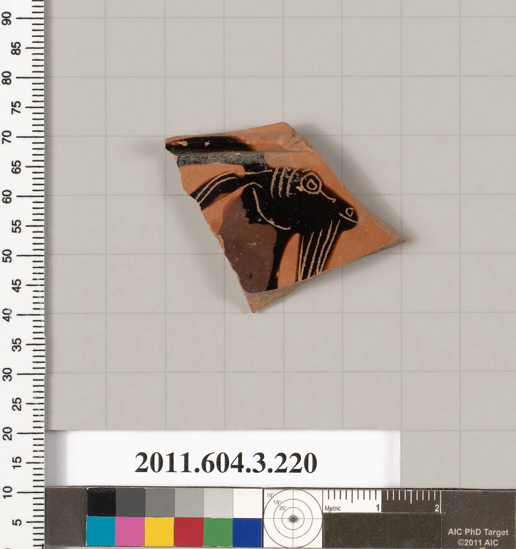 Terracotta fragment of a neck-amphora of Nicosthenic shape (jar) — Unknown