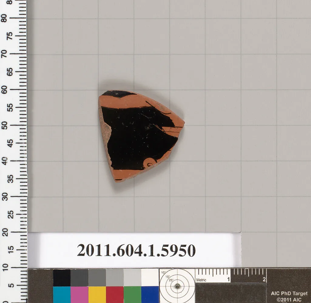 Terracotta fragment of a kylix (drinking cup) — Skythes