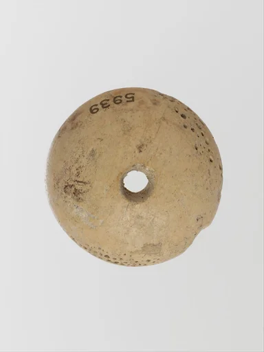 Bone disk or button