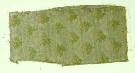 Textile Fragment