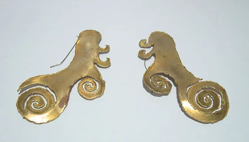 Earrings