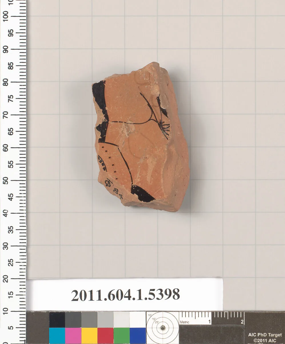 Terracotta fragment of a kylix (drinking cup) — Unknown