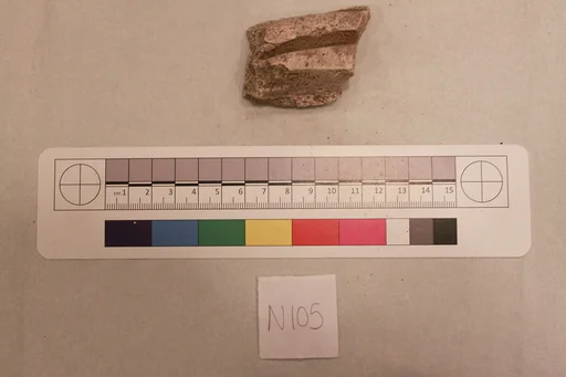Stucco Fragment