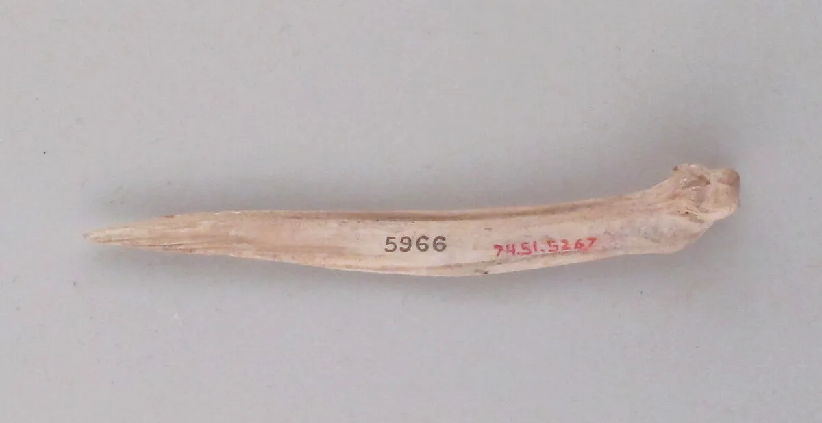 Awl — Unknown