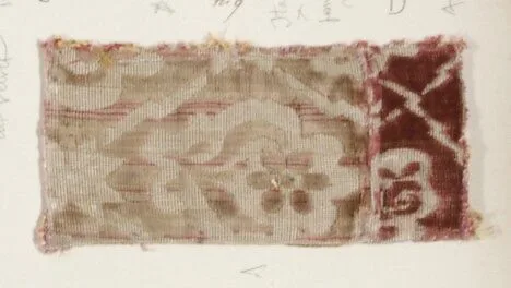 Fragment — Unknown