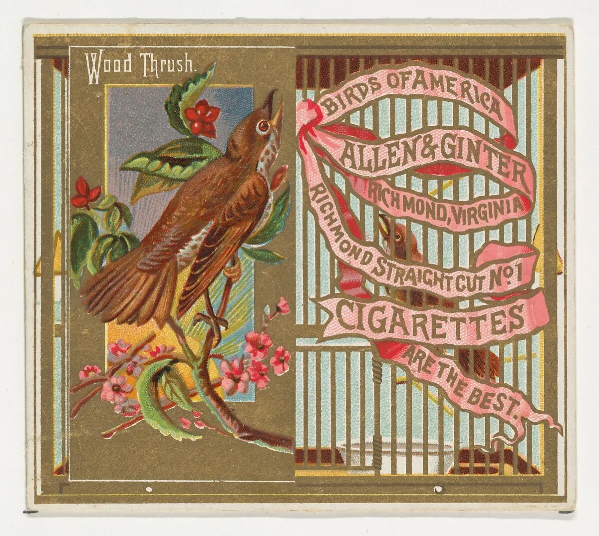 Wood Thrush, from the Birds of America series (N37) for Allen & Ginter Cigarettes — Allen & Ginter