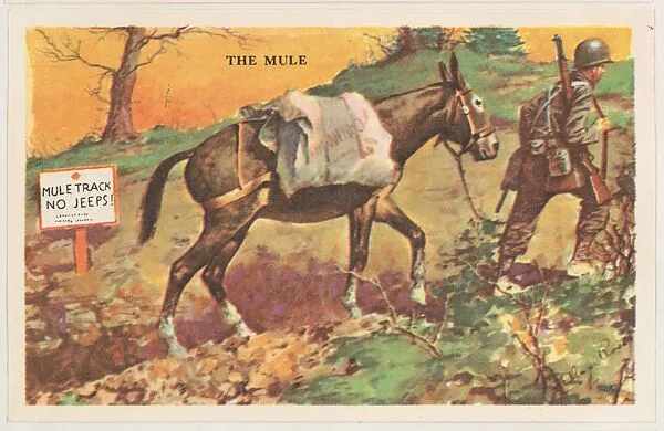 The Mule, bakery card from the Horses series (D39-5), issued by the Gordon Bread Company — Gordon Bread Company