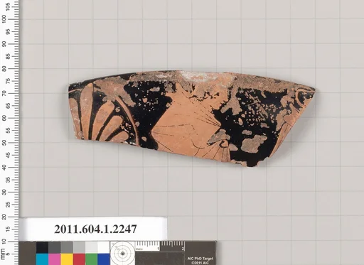 Terracotta rim fragment of a kylix (drinking cup)