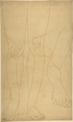 Study of Lower Legs and an Arm