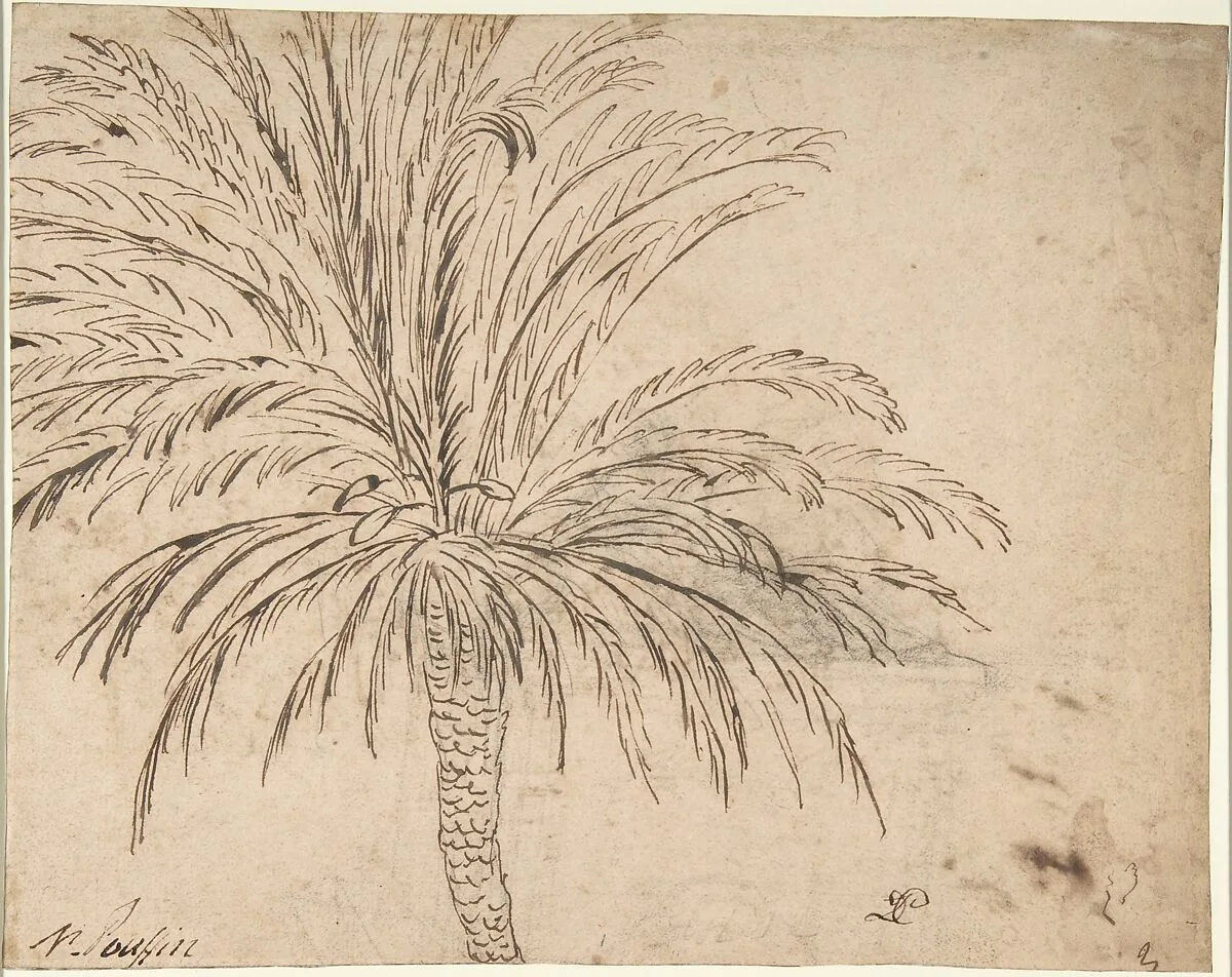 Study of a Palm Tree (recto); Mountain Landscape (verso) — Nicolas Poussin