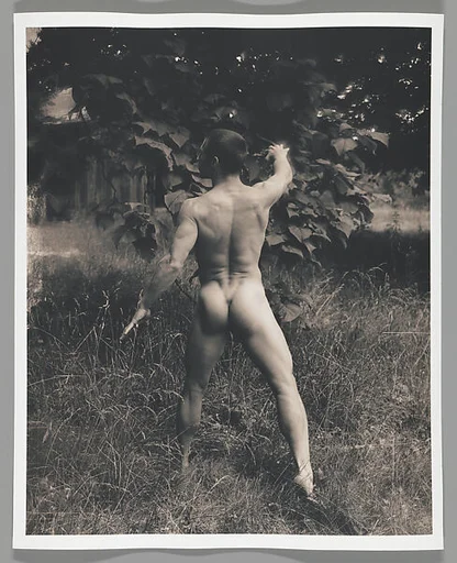 [Male Nude in Landscape, seen from behind]