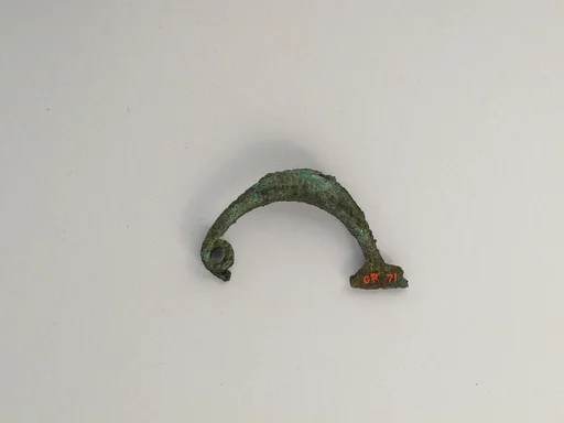 Fibula, boat-shaped type
