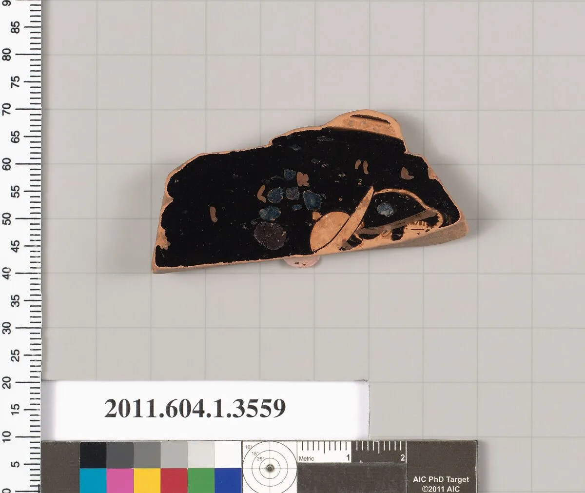 Terracotta fragment of a kylix (drinking cup) — Unknown