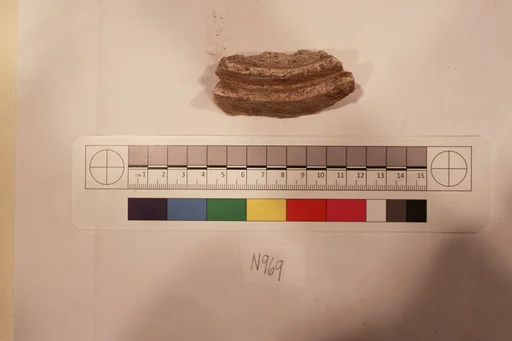 Stucco Fragment