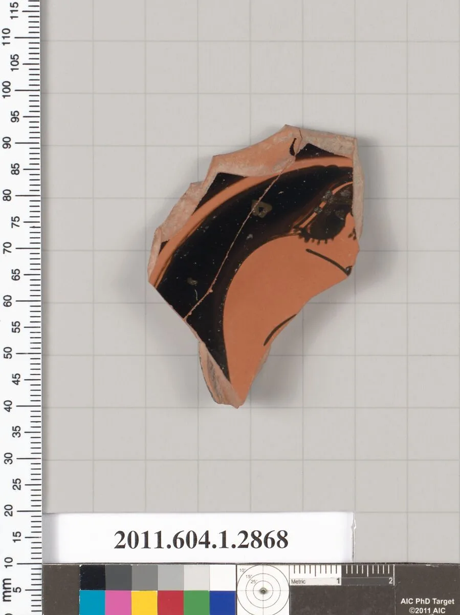 Terracotta fragment of a kylix (drinking cup) — Unknown