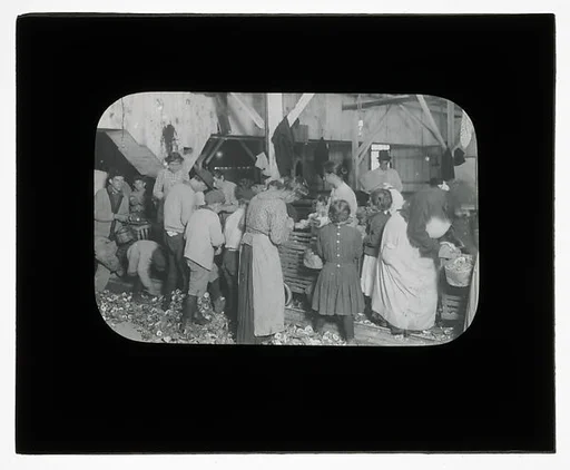 [Social Documentary Lantern Slide of New York]