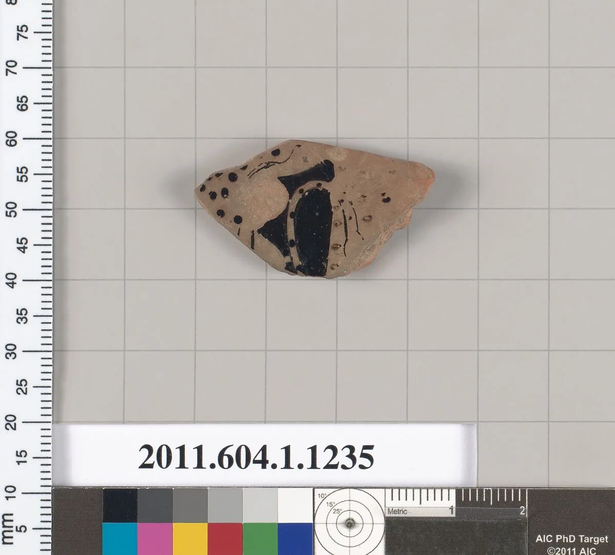 Terracotta fragment of a kylix (drinking cup) — Unknown