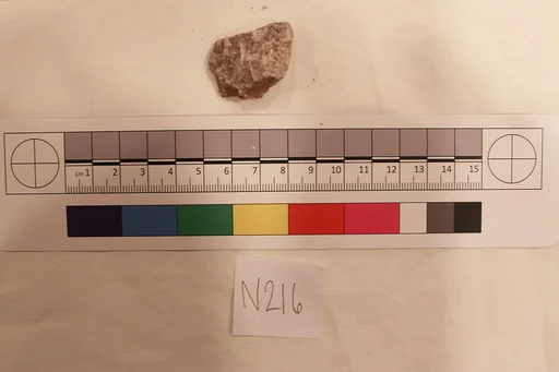 Stucco Fragment