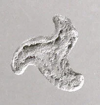 Stamp seal