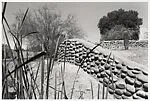Phoenix — Lee Friedlander