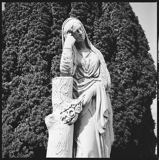 [103 Portraits, Views, and Studies: Jane Mayall, Victorian Seaside Architecture Possibly at Cape May, New Jersey, and Cemetery Scenes and Gravestone Studies]