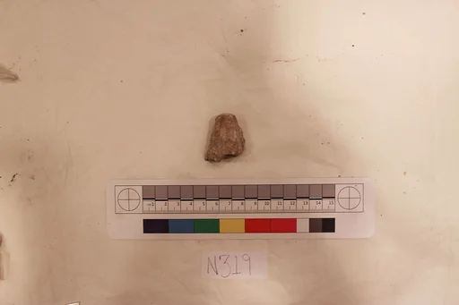Stucco Fragment