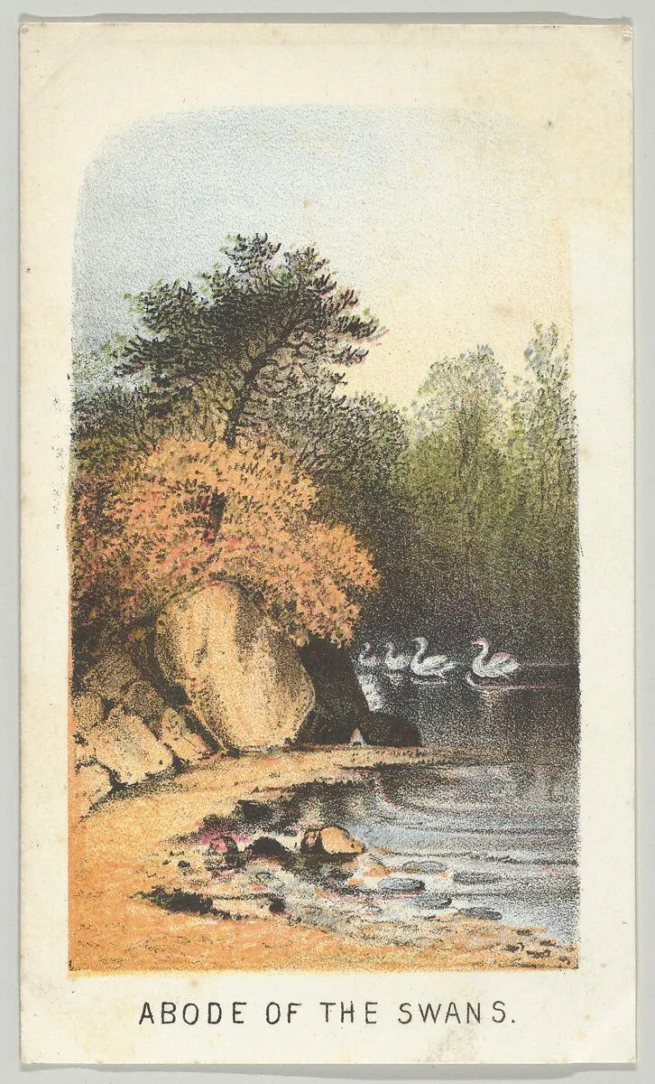 Abode of the Swans, from the series, Views in Central Park, New York, Part 2 — Louis Prang & Co.