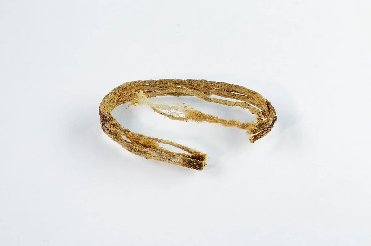 String from papyrus charm — Unknown