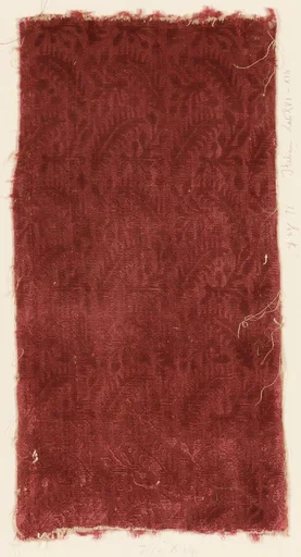 Fragment