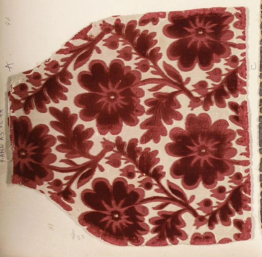 Fragment — Unknown
