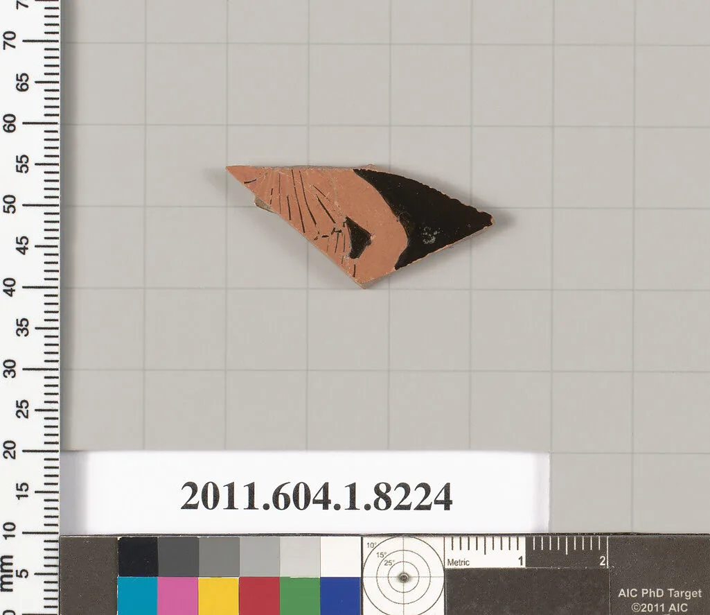 Terracotta fragment of a kylix (drinking cup) — Unknown