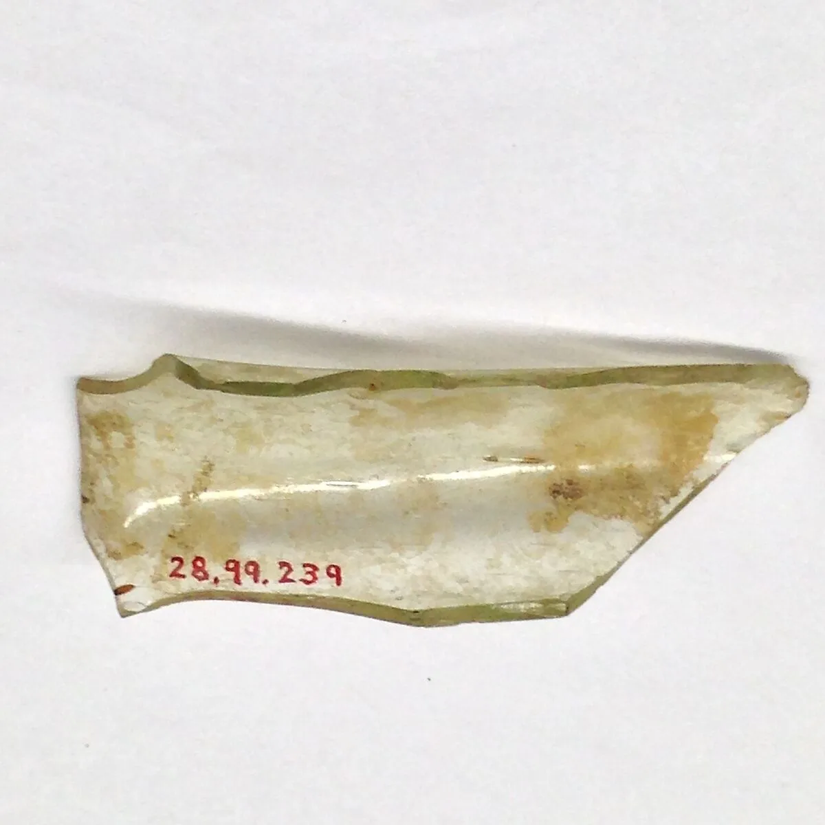 Fragment — Unknown