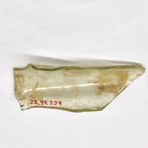 Fragment