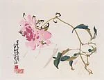 現代 倣趙少昂 蜂戲牡丹圖 冊頁|Flower and Bee