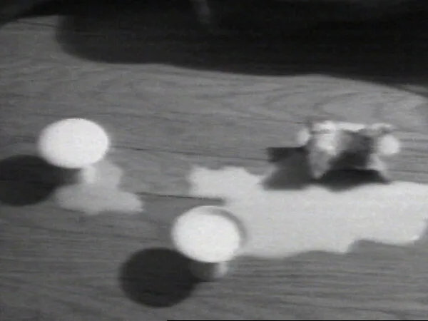 Hot Sake — William Wegman