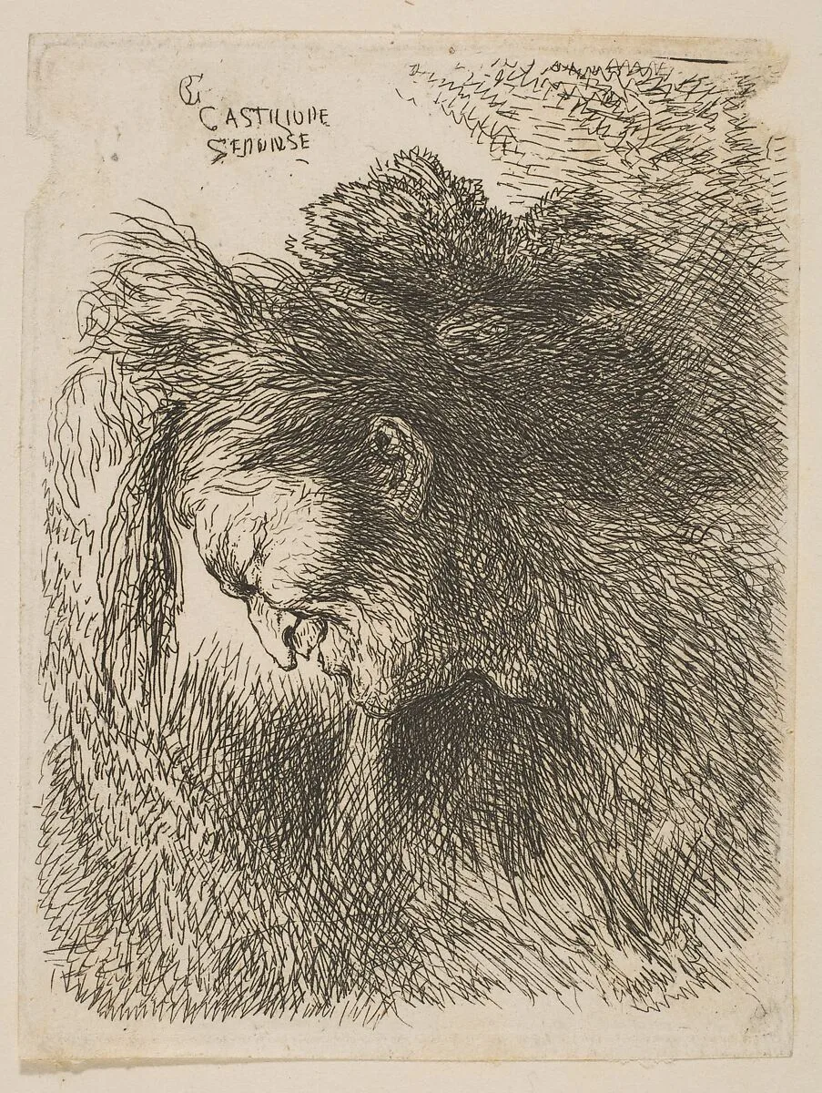 Head of an old man looking down, facing left, from "Small Studies of Heads in Oriental Headress" — Giovanni Benedetto Castiglione (Il Grechetto)