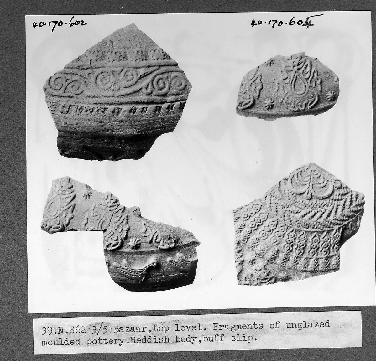 Fragment — Unknown