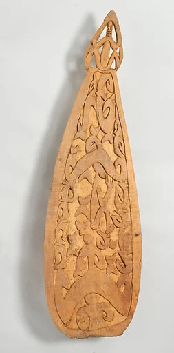 Shield