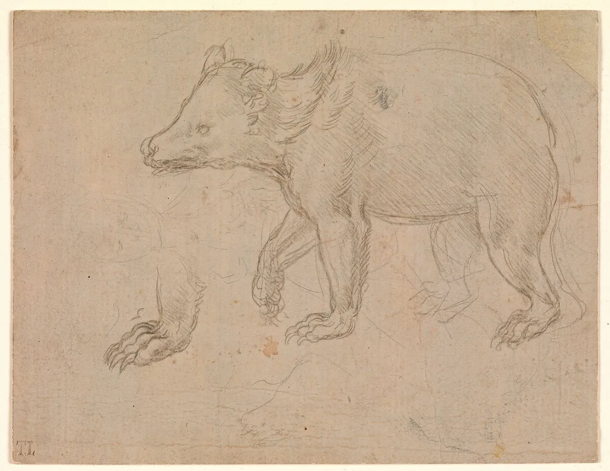 A Bear Walking — Leonardo da Vinci
