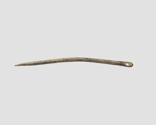 Needle