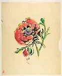 Design for a Scarf: Red Poppy — Marcel Vertès