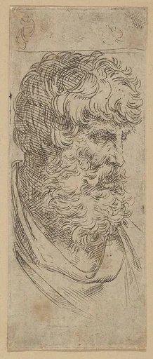 Bust of a bearded man