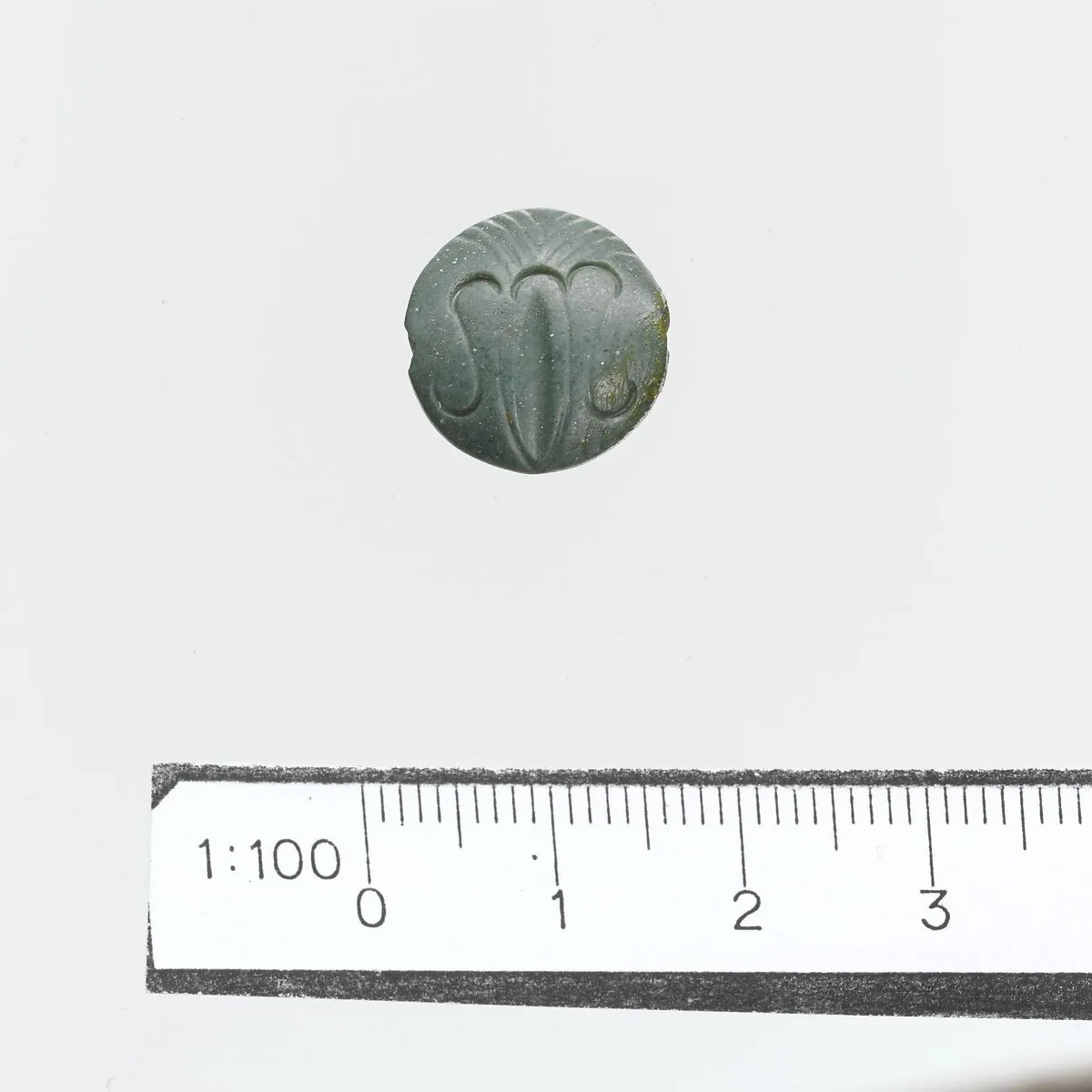 Seal — Unknown