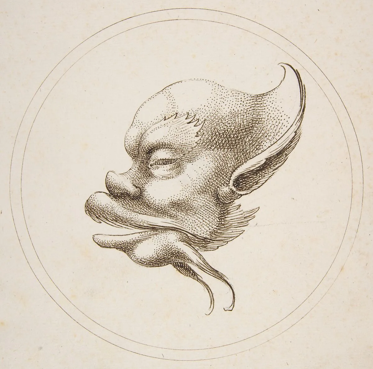 Grotesque Head With a Large Eyebrow Looking to the Left Within a Circle — Gaetano Piccini