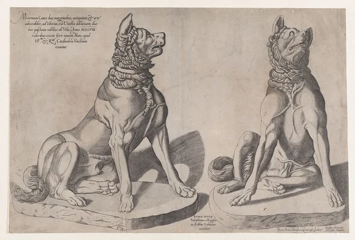 Speculum Romanae Magnificentiae: Two Dogs