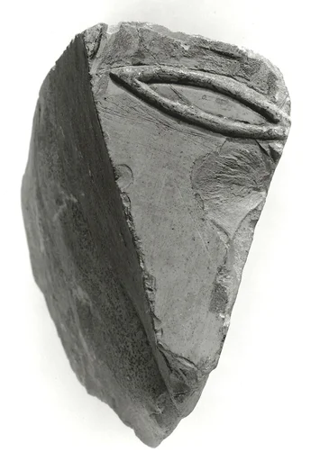 Raised relief fragment