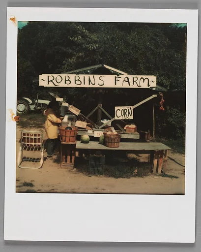[Roadside Fruit and Vegetable Stand: "Robbins Farm"]