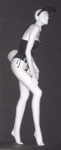 "Bunny Costume" — Playboy